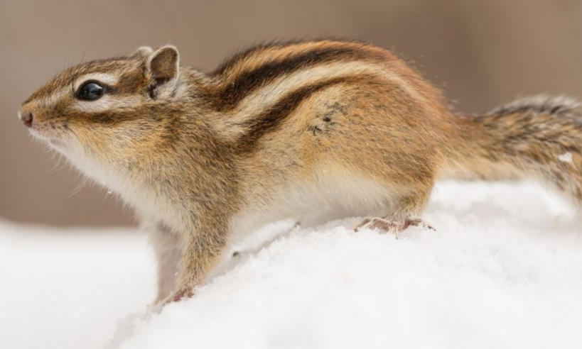 北戴河永诚有限公司轮播图2